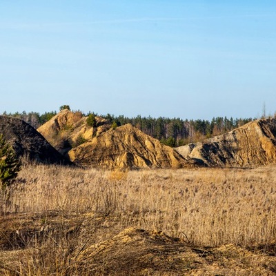 Поліський мокрац