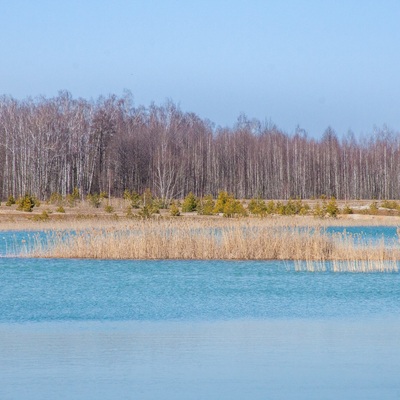 Поліський мокрац