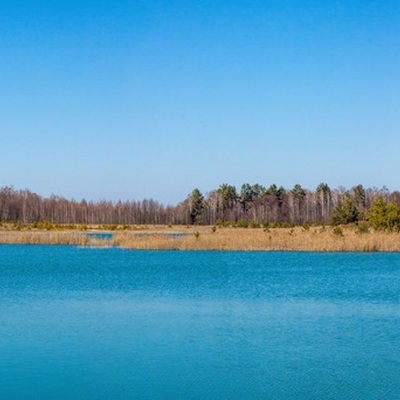 Поліський мокрац