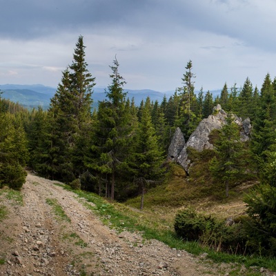 Прикордонні Карпати