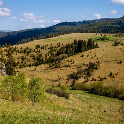 Прикордонні Карпати