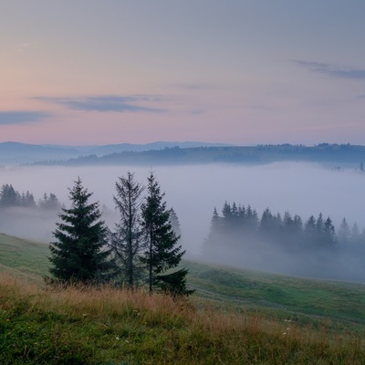 The Carpathians in August