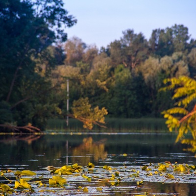 Острів Муромець