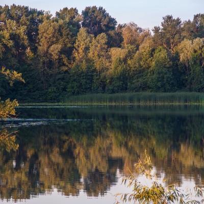 Острів Муромець