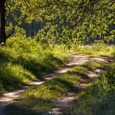 Острів Муромець