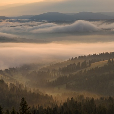 Carpathians in August