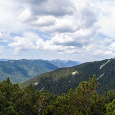 Транскарпатія