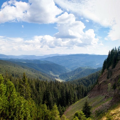 Транскарпатія