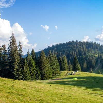 Транскарпатія