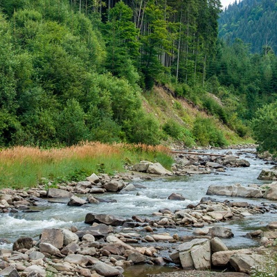 Транскарпатія