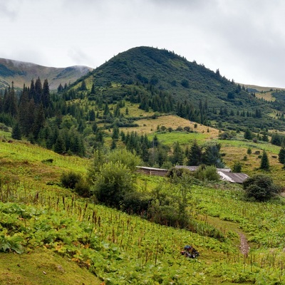 Транскарпатія