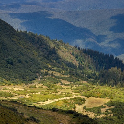 Транскарпатія