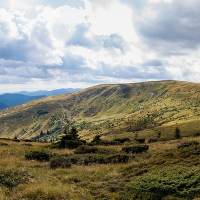 Транскарпатія