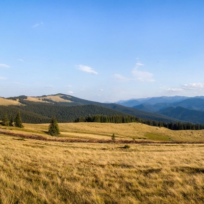 Транскарпатія