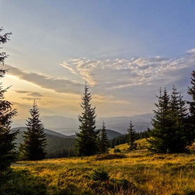 Транскарпатія