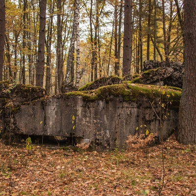 Різнокольорове Полісся