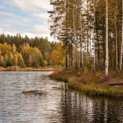 Різнокольорове Полісся