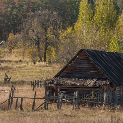 Різнокольорове Полісся