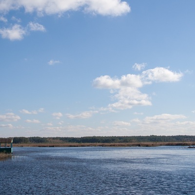 Різнокольорове Полісся