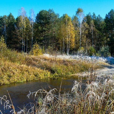 Різнокольорове Полісся