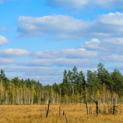 Різнокольорове Полісся