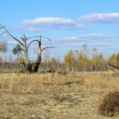 Різнокольорове Полісся