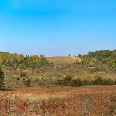 Різнокольорове Полісся