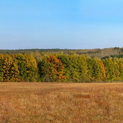 Різнокольорове Полісся