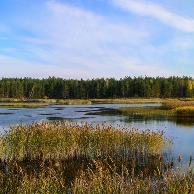 Різнокольорове Полісся