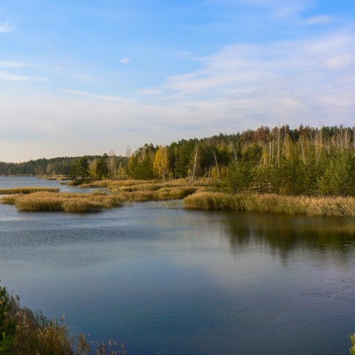 Різнокольорове Полісся