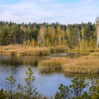 Різнокольорове Полісся