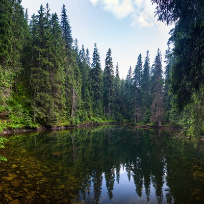 Липневі Горгани