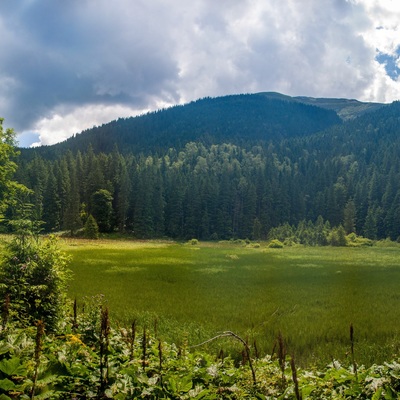 Липневі Горгани