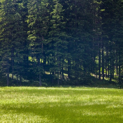 Липневі Горгани