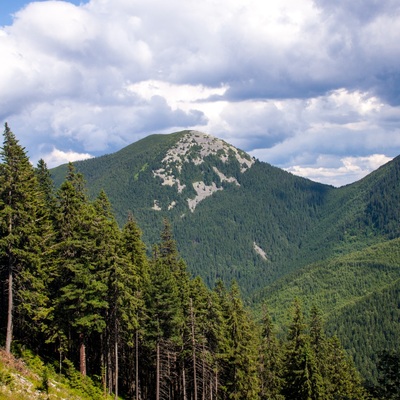 Липневі Горгани