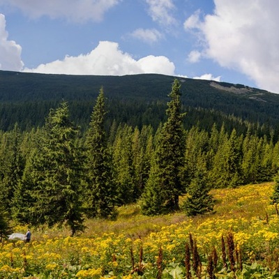 Липневі Горгани