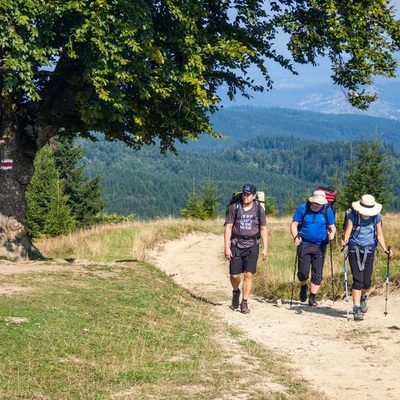 Серпнева Чорногора