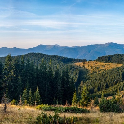 Серпнева Чорногора