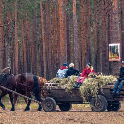 Антонівська вузькоколійка