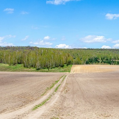 У гонитві за Триногом