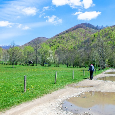 Форельна Боржава