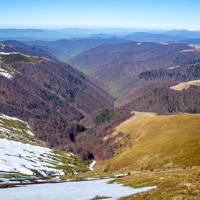 Форельна Боржава