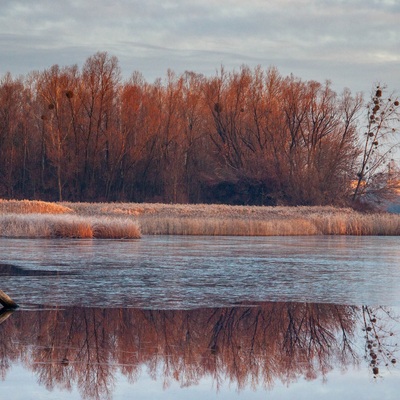 Різдвяні млинці у ПДНі