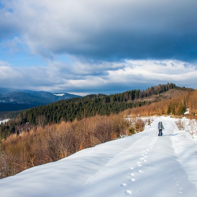 Запрутські Горгани