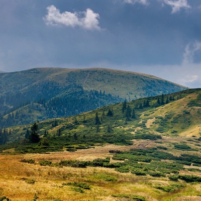 Свидовецька кругосвітка