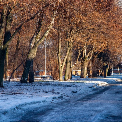 Новорічна Полтава