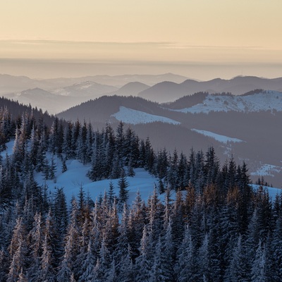 The Carpathian: Winter in Yaremche