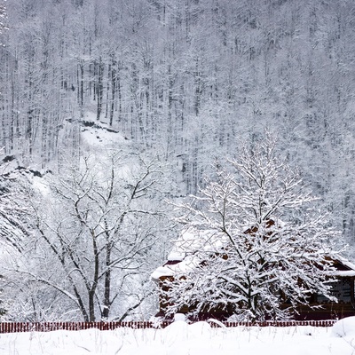 The Carpathian: Spring in Yaremche