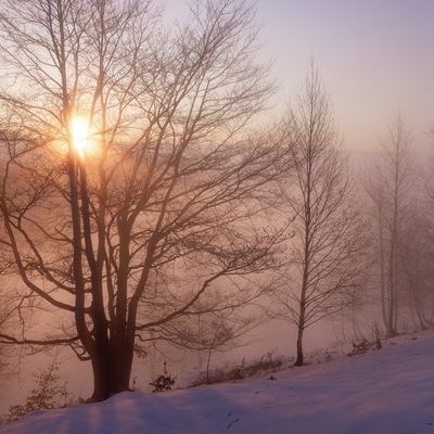 The Carpathian: Spring in Yaremche