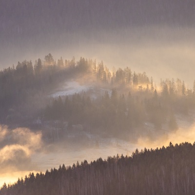 The Carpathian: Spring in Yaremche